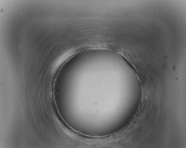 X0000062930005200601202038