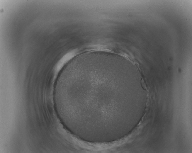 X0000062930006200601202038