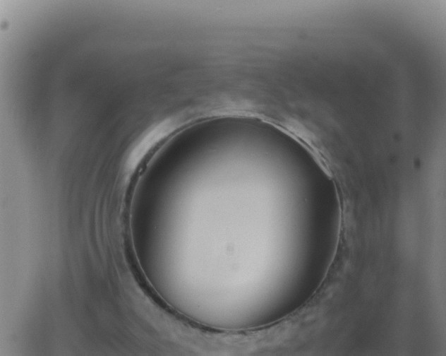 X0000062930007200601202038