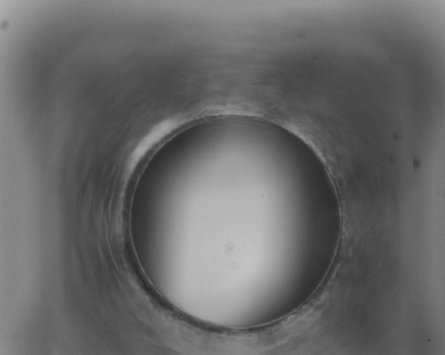 X0000062930008200601202038