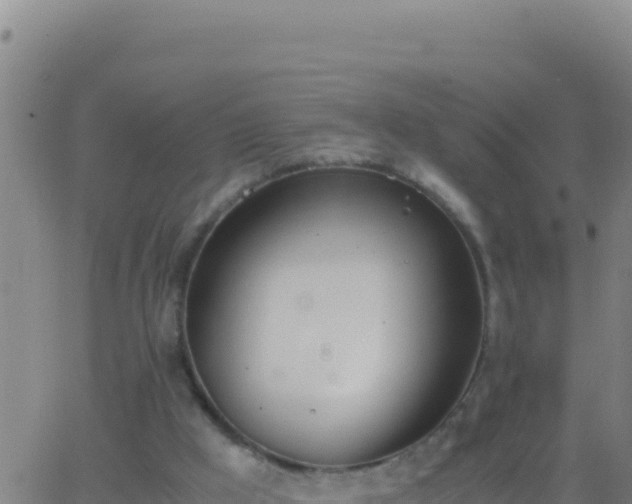 X0000062930009200601202038