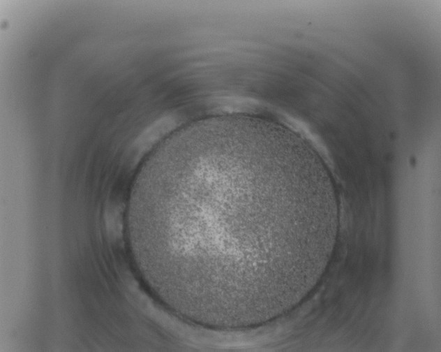 X0000062930010200601202038