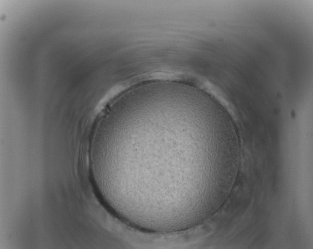 X0000062930011200601202038