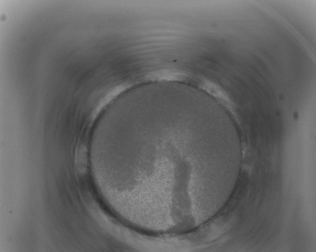 X0000062930012200601202038