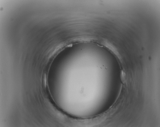 X0000062930013200601202038