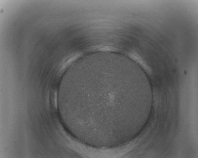 X0000062930014200601202038