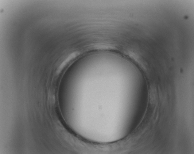 X0000062930015200601202038