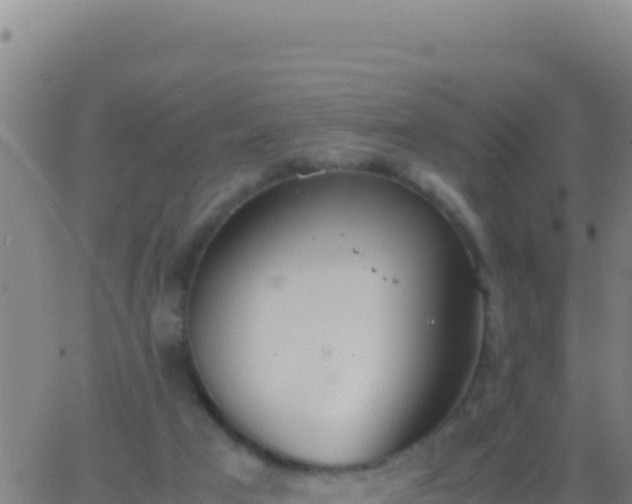 X0000062930017200601202038