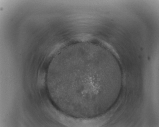 X0000062930018200601202038