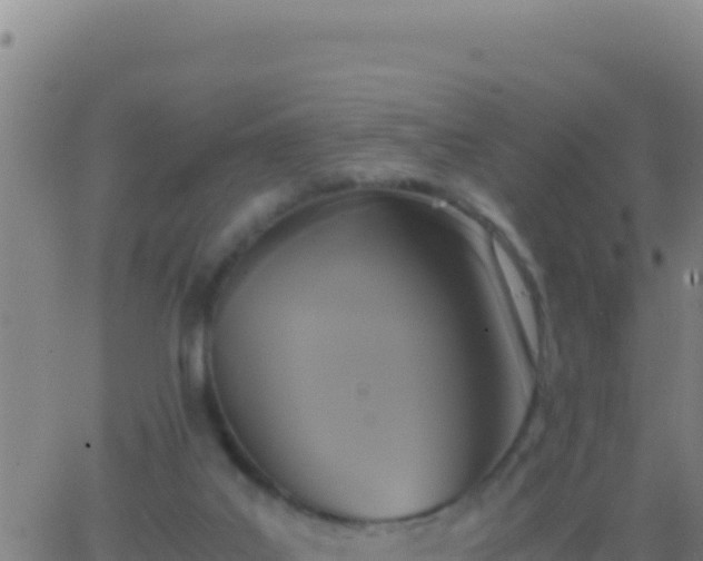 X0000062930019200601202038