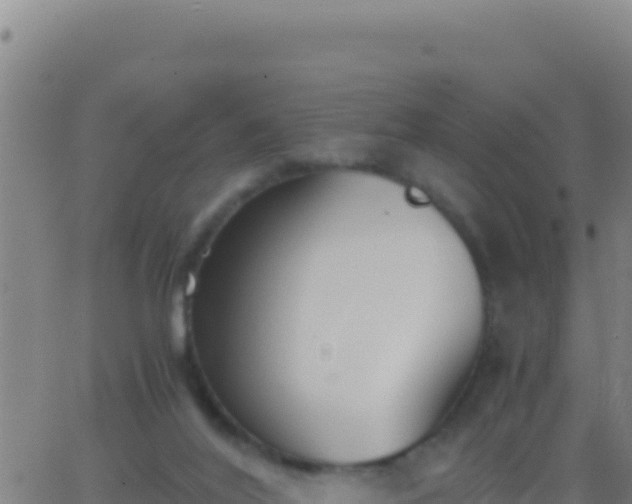 X0000062930020200601202038