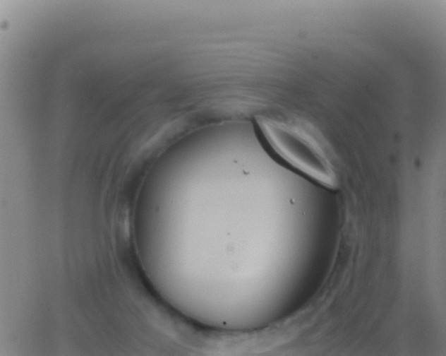 X0000062930021200601202038