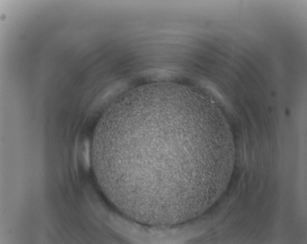 X0000062930022200601202038