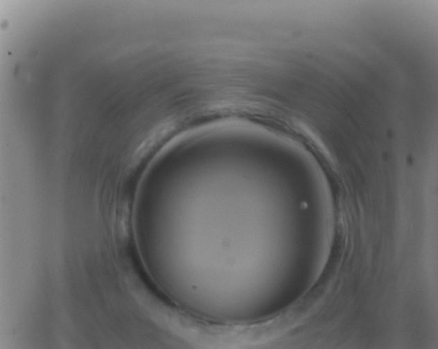 X0000062930023200601202038