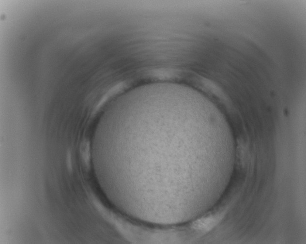 X0000062930024200601202038