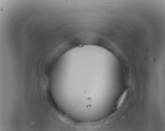 X0000062930025200601202038