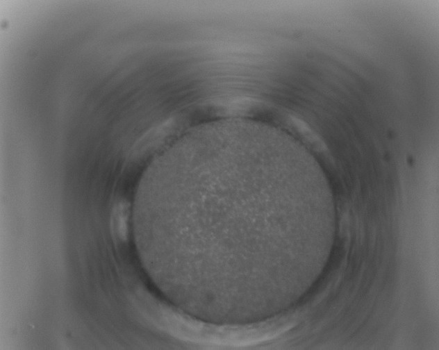 X0000062930026200601202038