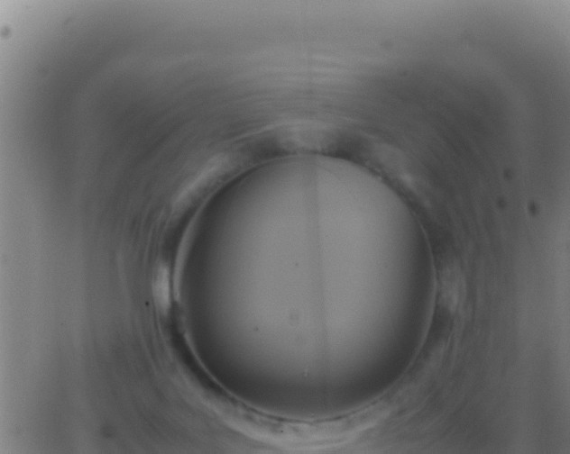 X0000062930027200601202038