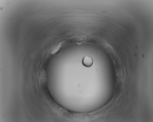 X0000062930029200601202038