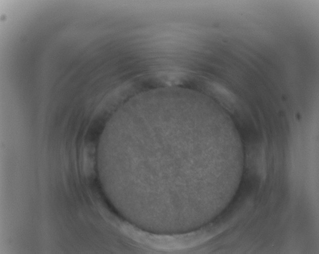 X0000062930030200601202038