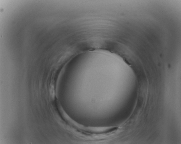 X0000062930031200601202038