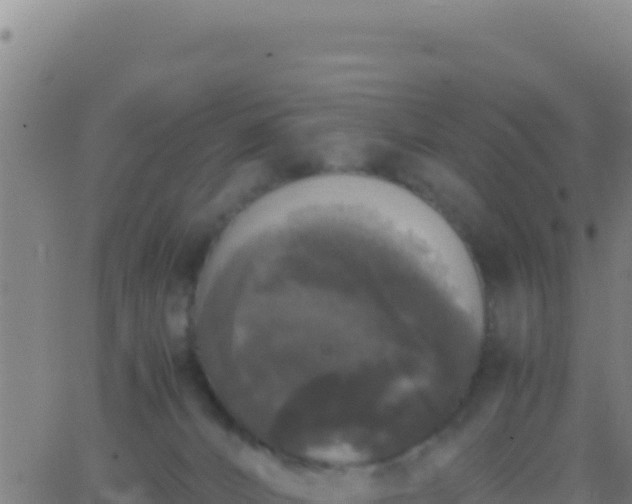 X0000062930032200601202038