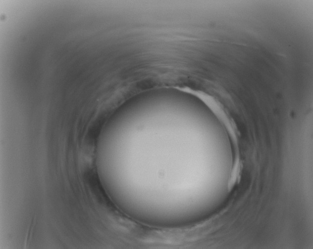 X0000062930033200601202038