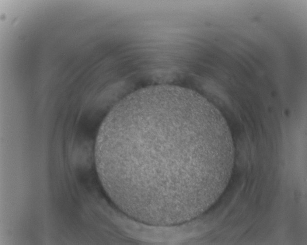 X0000062930034200601202038