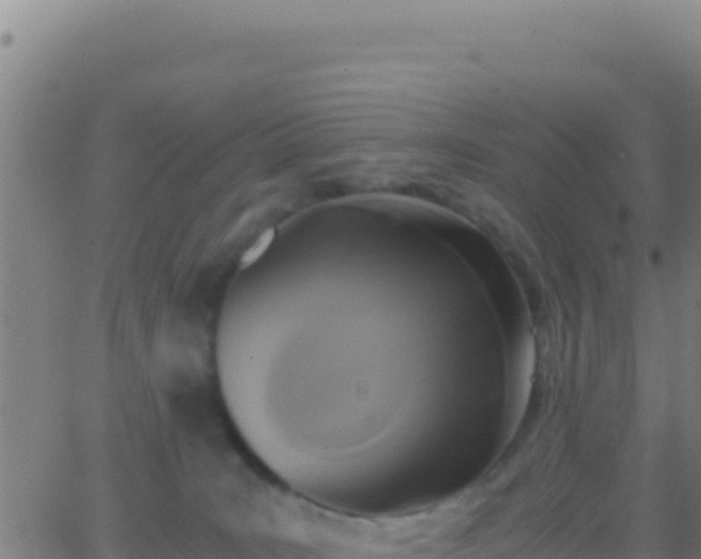 X0000062930035200601202038