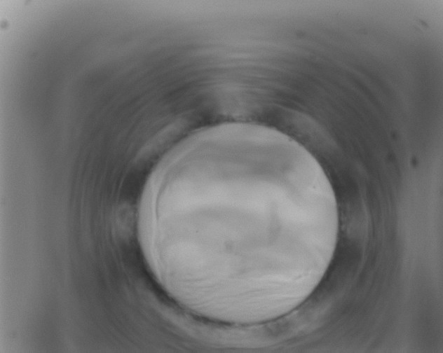 X0000062930036200601202038