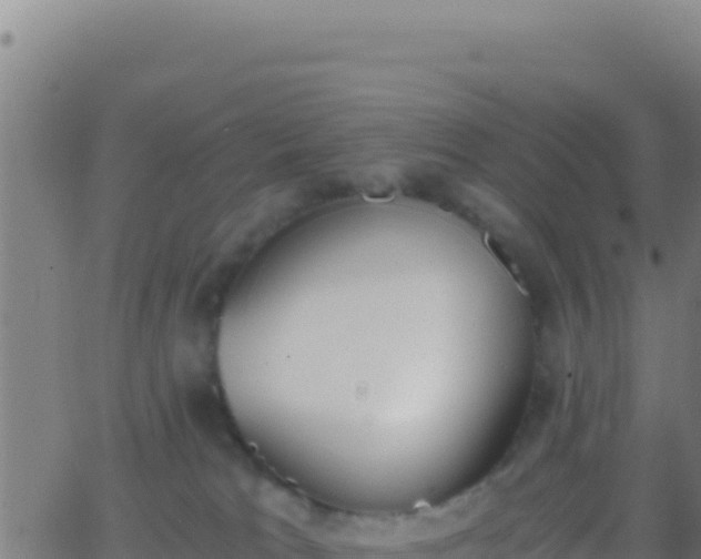 X0000062930037200601202038