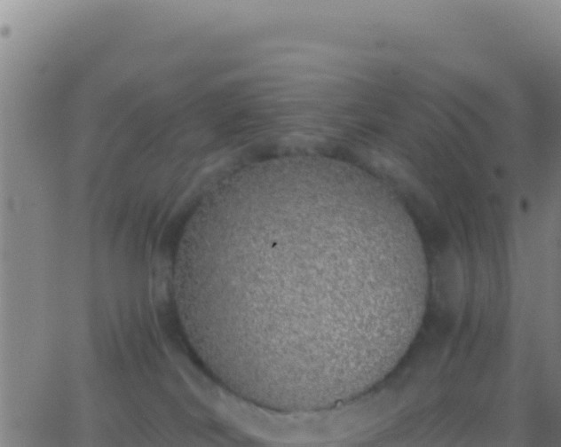 X0000062930038200601202038