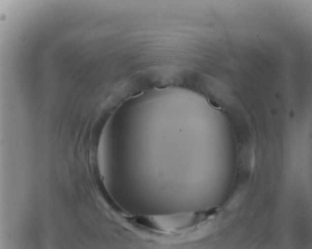 X0000062930039200601202038