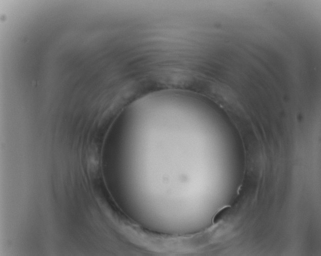 X0000062930040200601202038