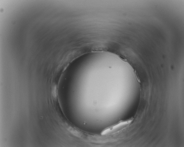 X0000062930041200601202038