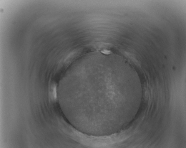 X0000062930042200601202038