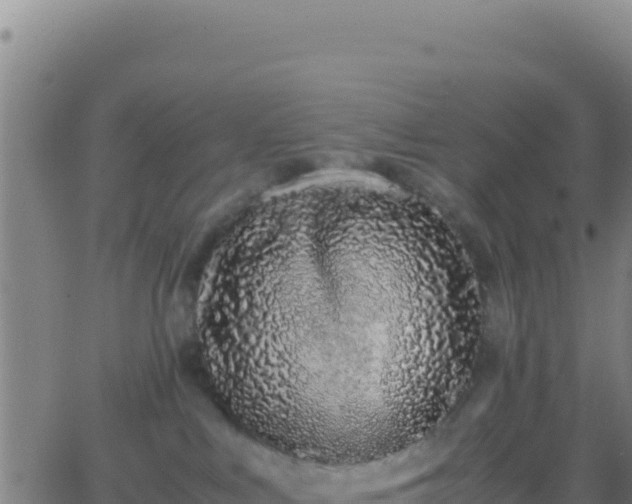 X0000062930043200601202038