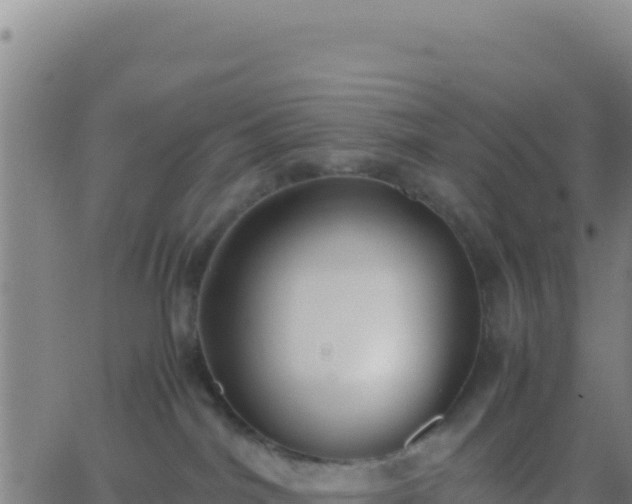 X0000062930044200601202038