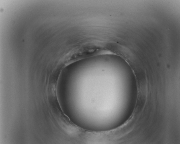 X0000062930045200601202038