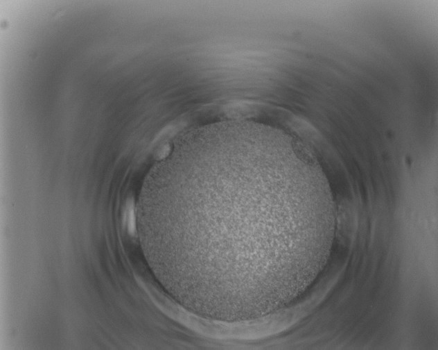 X0000062930046200601202038