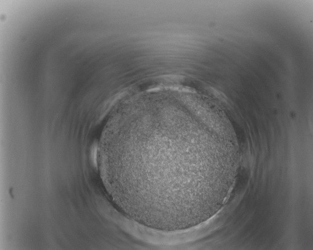 X0000062930047200601202038