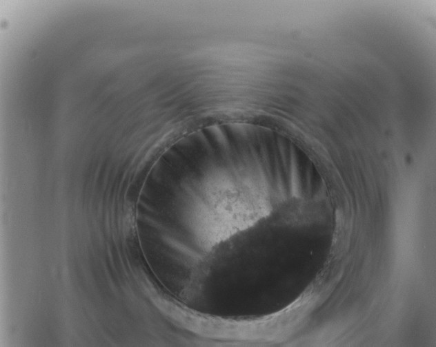 X0000062930048200601202038