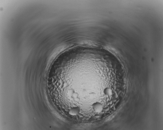 X0000062930049200601202037