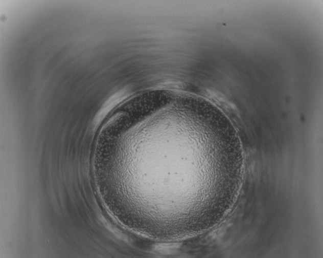 X0000062930051200601202037