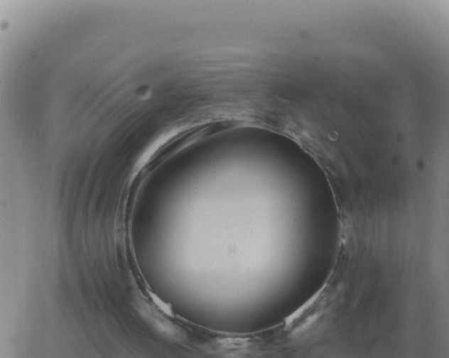 X0000062930052200601202037