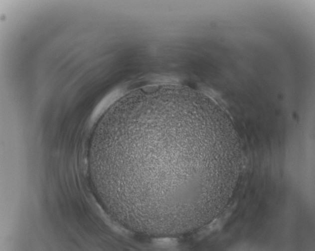 X0000062930053200601202037