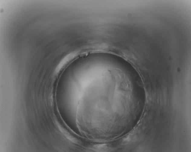 X0000062930054200601202037