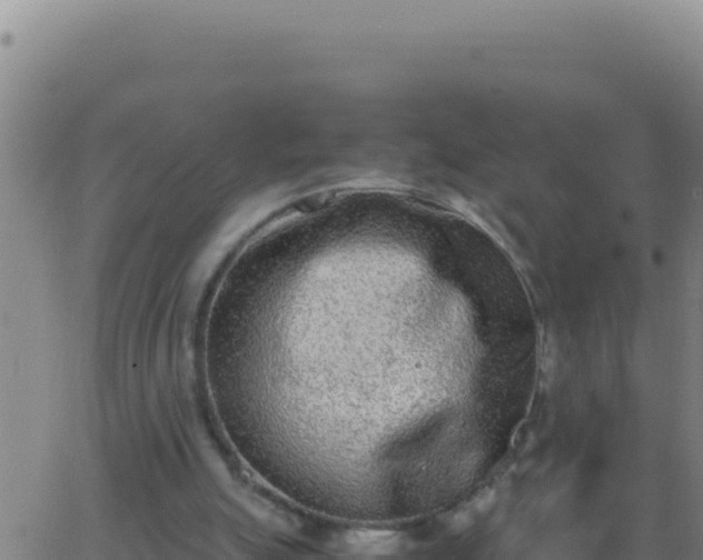 X0000062930055200601202037