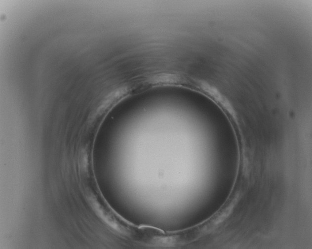 X0000062930057200601202037