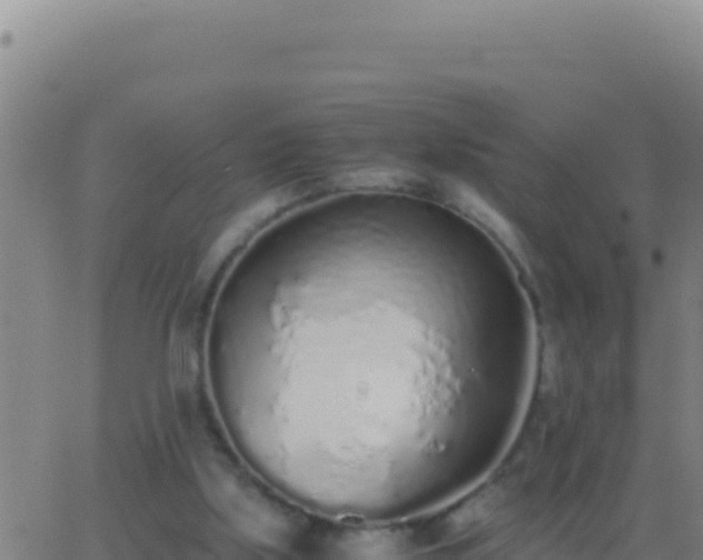 X0000062930059200601202037